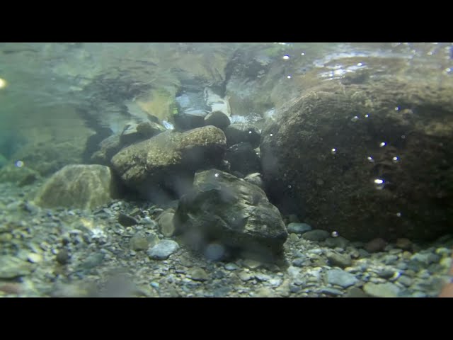 Swim underwater alkaline River