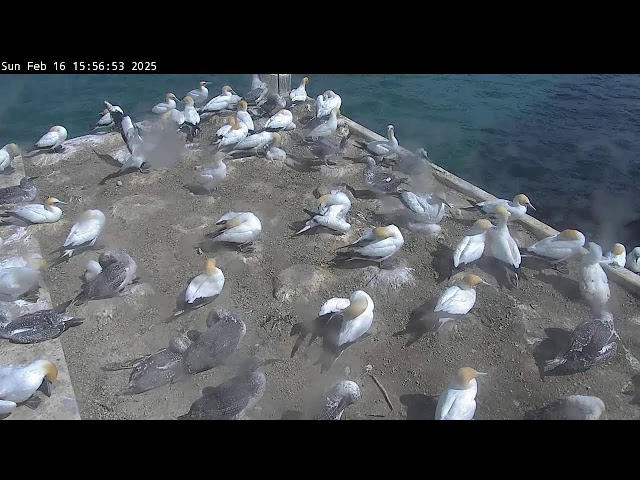 Copy: Pope's Eye Above Water Camera