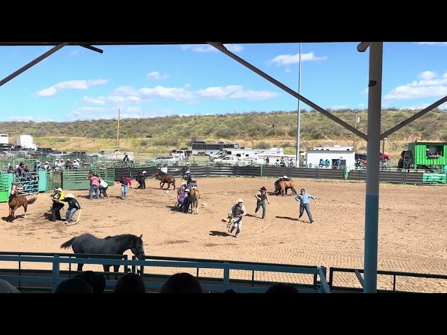 2024 Peridot, Arizona Wild Horse Race