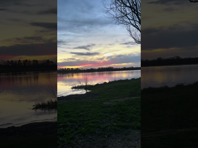 Slow Living In France: Sunset Walk By The Lake w/ My Dog #frenchcountryside #slowliving #shorts