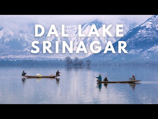 Dal Lake | Srinagar | Jammu & Kashmir | Bohemian Traveller India