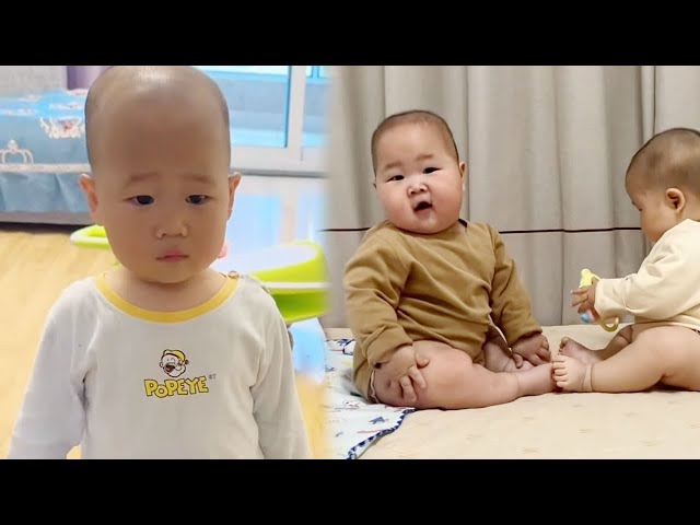 [Super Cute Twins] What do you mean by running away without speaking Wude!