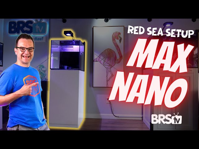 Super Simple Red Sea Max Nano Aquarium Setup... It’s So EASY!