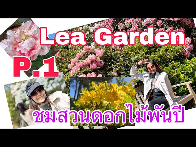 Visiting Lea Gardens P1.  #thipbrownvlog #leagarden #flowers #england