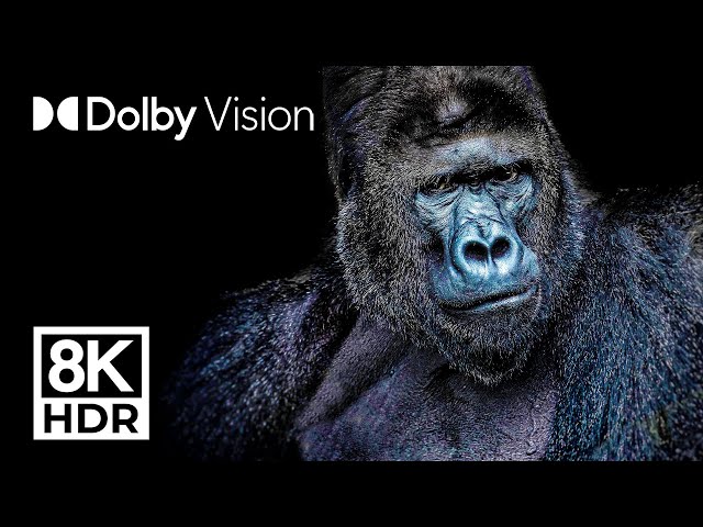 ULTIMATE ANIMAL KINGDOM - DOLBY VISION™ 8K ULTRA HD (2 Hours)