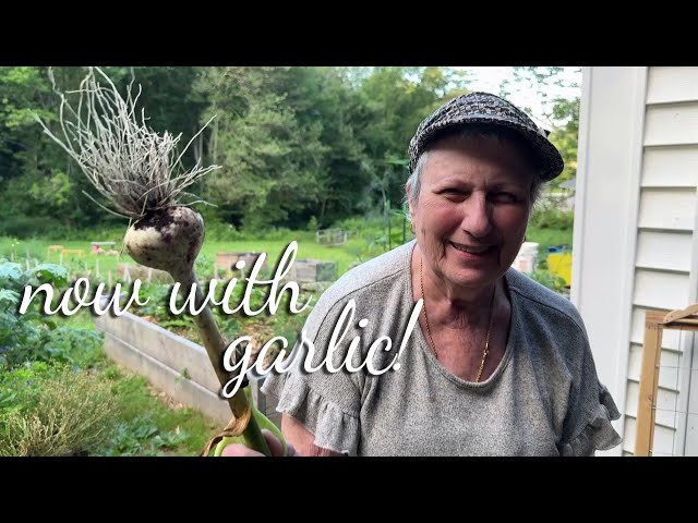 Six Weeks of Gratitude - Garden Journal Early Summer 2024 #harvest #onions #garlic #rootvegetables