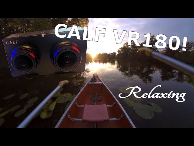 Relaxing CalfVR VR180 Canoe Ride on the River Shore. #VR180 #CalfVR