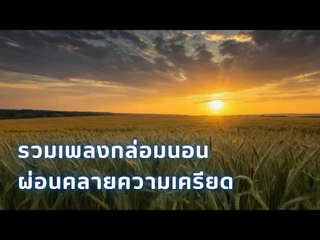 music that will make you fall asleep เพลงกล่อมนอน ผ่อนคลายความเครียด