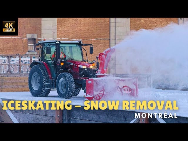 Snow removal from ice-skating rinks: St. Antoine Montréal