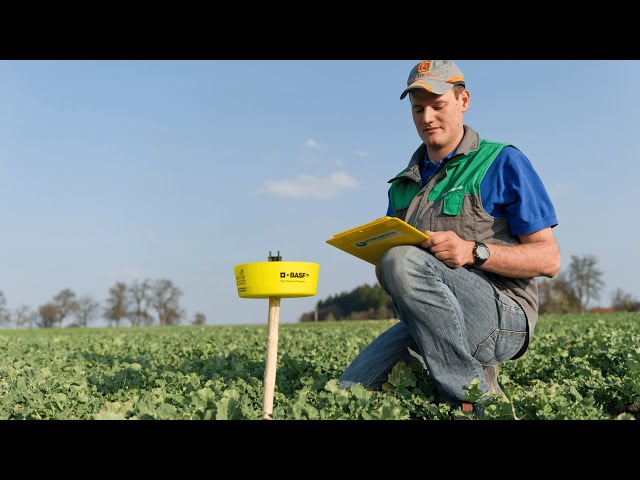 Zukunftsgespräch Landwirtschaft:  Pflanzenschutzreduktion im Praxischeck