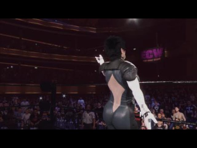 Bayonetta vs Power Girl WWE