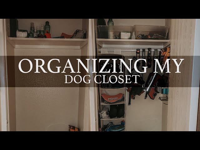 organizing my dog closet! 2/6/21