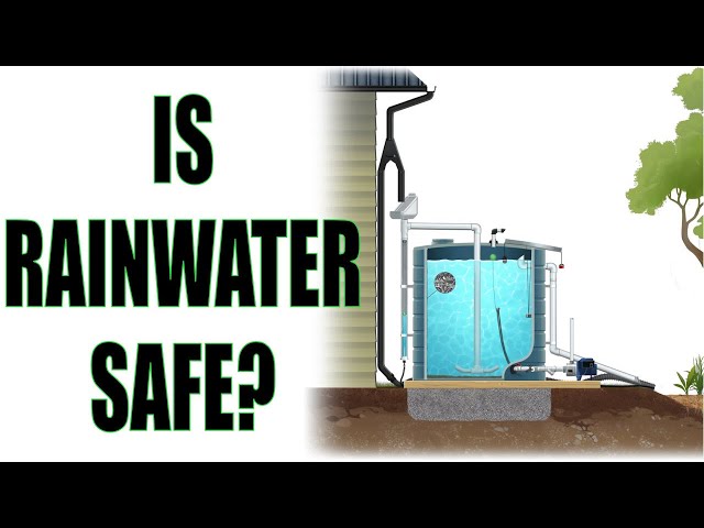 Rainwater Harvesting: Is Rainwater Safe?