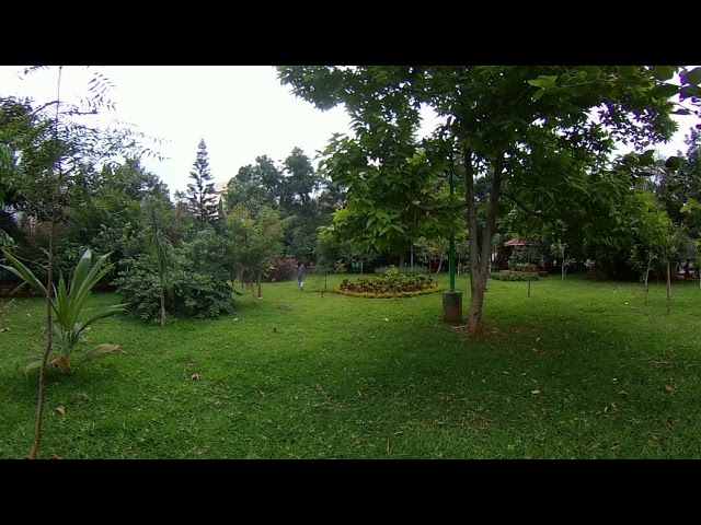 360 video vinayaka park