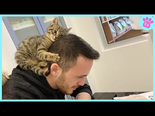 When we teach each other to grow up ❤️ Cute Cat and Human Moments