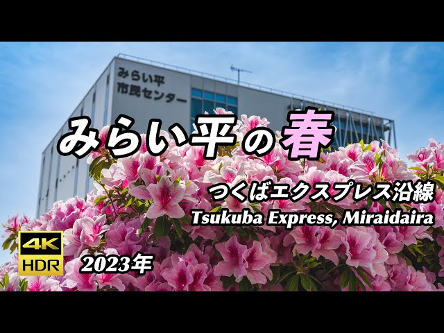 【みらい平の春/4K HDR】つくばエクスプレスみらい平駅周辺の春を紹介します/Spring time of Miraidaira, Tsukuba Express【茨城県つくばみらい市】