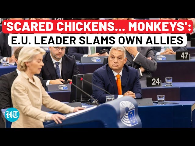 On Cam: EU Leaders Called 'Scared Chickens, Monkeys' By Own Ally | Orban | Trump | Putin | Ukraine