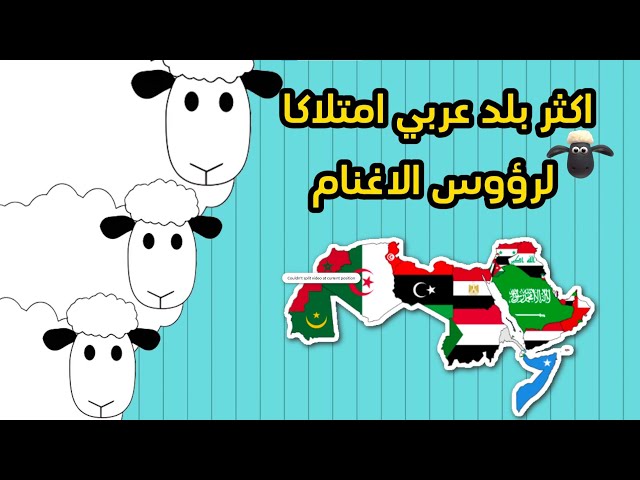 من هي أكثر دولة عربية امتلكا لرؤوس الاغنام _ لي سنة 2024