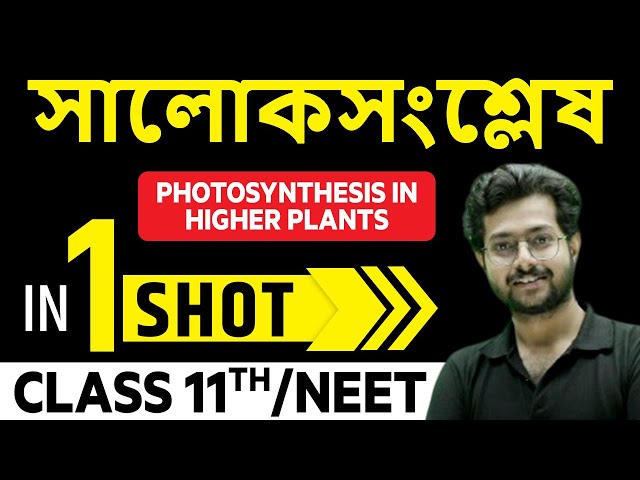 সালোকসংশ্লেষ in 1 Shot || Photosynthesis in Higher Plants in Bangla || Class 11th/NEET