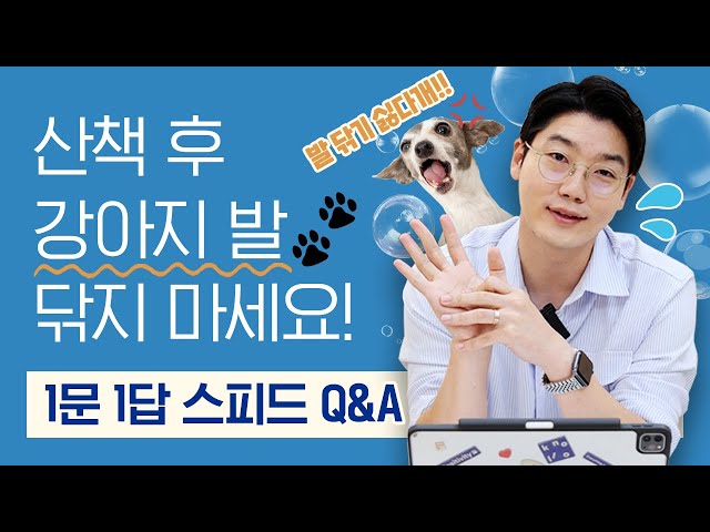 산책 후 최적의 발닦기 방법이 있다고요? 🐾  l 1문 1답 Q&A l 설채현 행동학 수의사