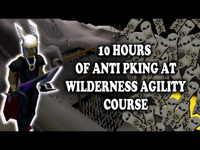 Loot from 10 Hours of Anti-Pking at Wilderness Agility Course