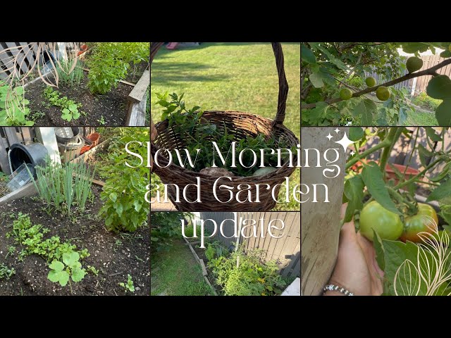 Growing Faith & Growing a Garden | Learning to Wait