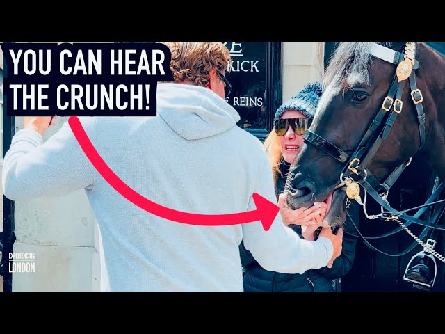 HORSE BITES DOWN ON WOMAN’S HAND! | Horse Guards, Royal guard, Kings Guard, Horse, London, 2024