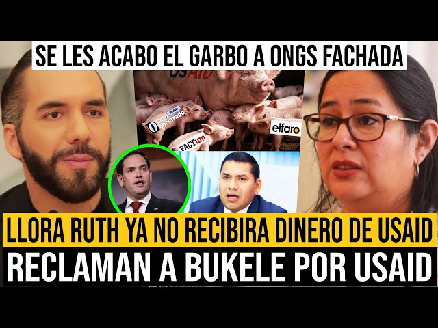 Le RECLAMAN a Bukele, LLORA Ruth de CRISTOSAL porque ya NO Recibirán Dinero de USAID !