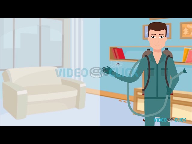 Pest Control Service | 2D Cartoon Animation | Pest control