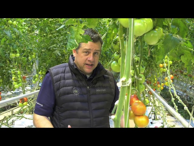 Canadian Based Company Builds State of The Art Greenhouse in Fort Valley