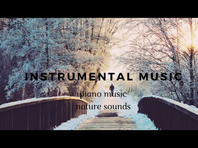 1-hour instrumental music, piano, nature sounds,meditation,healing, soothing relaxation,study🧘🏼‍♂️