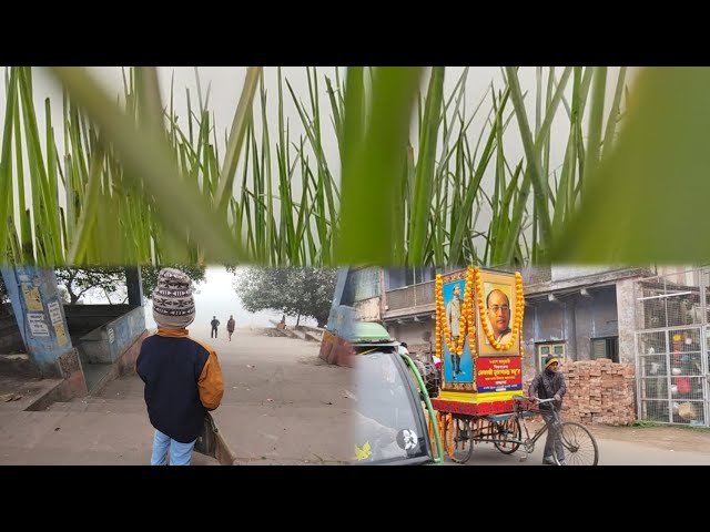 প্রাতঃভ্রমনে গিয়ে গঙ্গা থেকে গাছ তুলতে গিয়ে দারুন একটা জিনিস পেলাম||😀😀🫢🤫  #familyvlog #dailyvlog