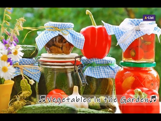 Vegetables in the Garden l Let's sing l English Trophy