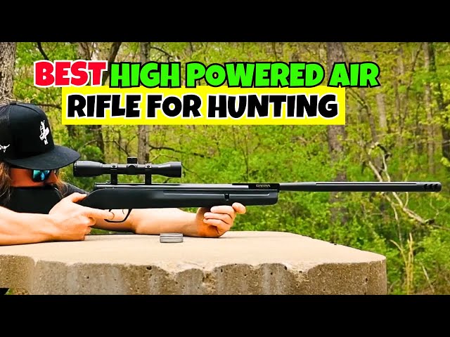 Top 4 Best High Powered Air Rifles For Hunting 2025!✅🔥