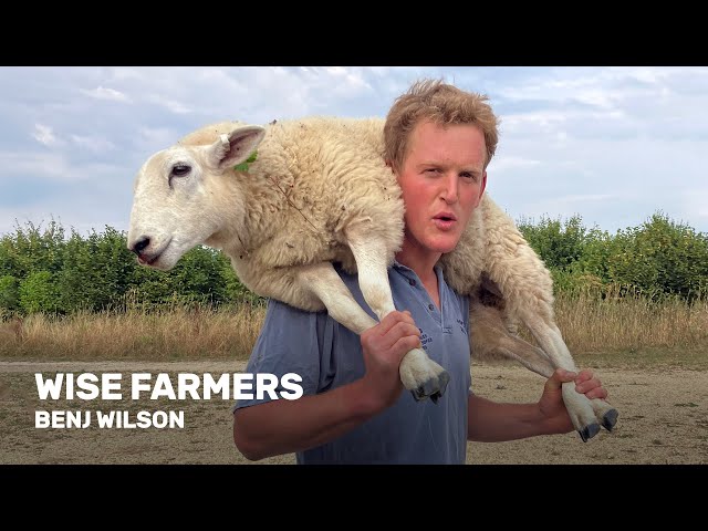 Wise Farmers: Benj Wilson, Fir Farm