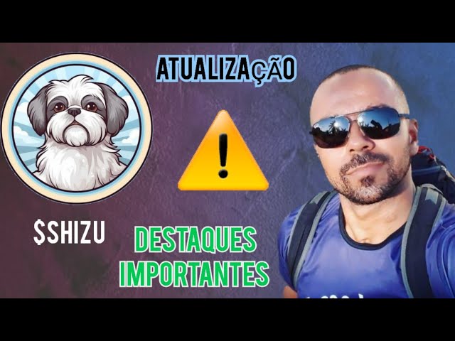 SHIZU - MEGA ATUALIZAÇÃO NO PROJETO - FICOU TOP