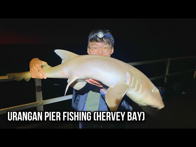 FISHING AT URANGAN PIER (Hervey Bay, Queensland) Vlog 1