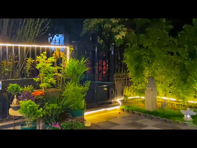 2024 Backyard Lighting Ideas | Outdoor Lighting | Landscape Lighting