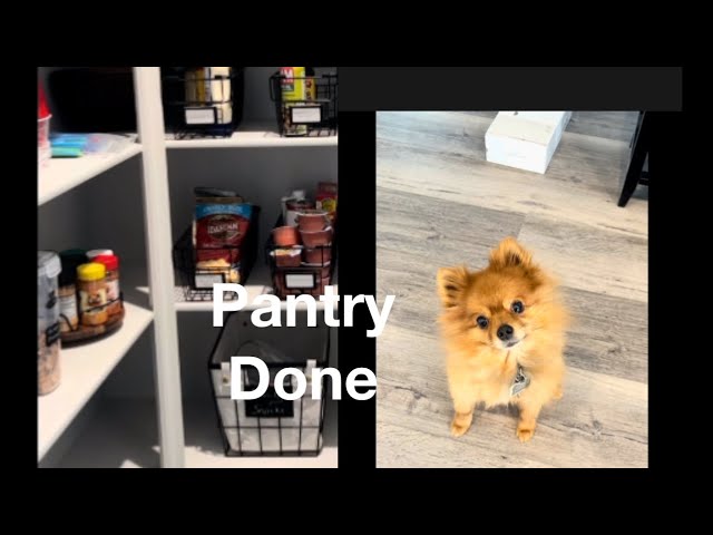 Pantry completed |Meet Skipper (my hairy boy) 🐶