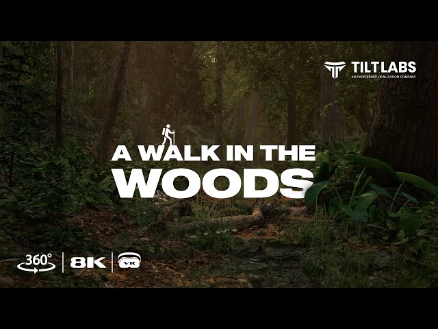 Stunning 8K VR 360° Video - Walk in the Woods - Powered by Unreal Engine 5 | Tiltlabs