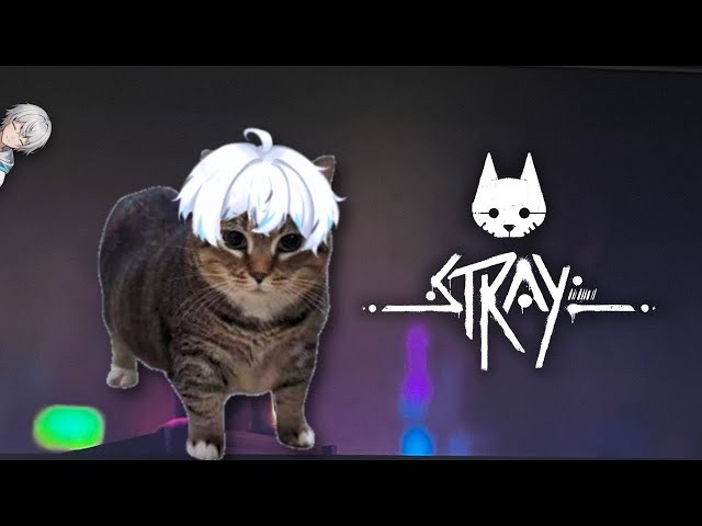 Menjalani Kehidupan Kembali Sebagai Kucing (TAMAT)【VTuberID】#stray #oiiaoiia  #vtuberid