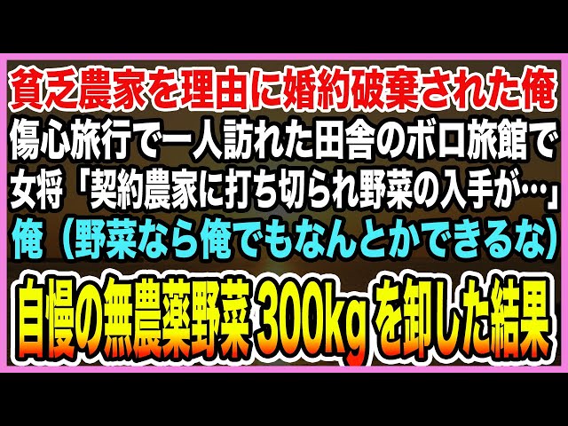 【感動する話】貧乏農家を理由に婚約破棄された俺。傷心旅行で一人訪れたボロ旅館で女将「契約農家に打ち切られ野菜の入手が」俺（俺ならなんとかできるな）自慢の無農薬野菜300kg卸した結果【泣ける話・朗読】