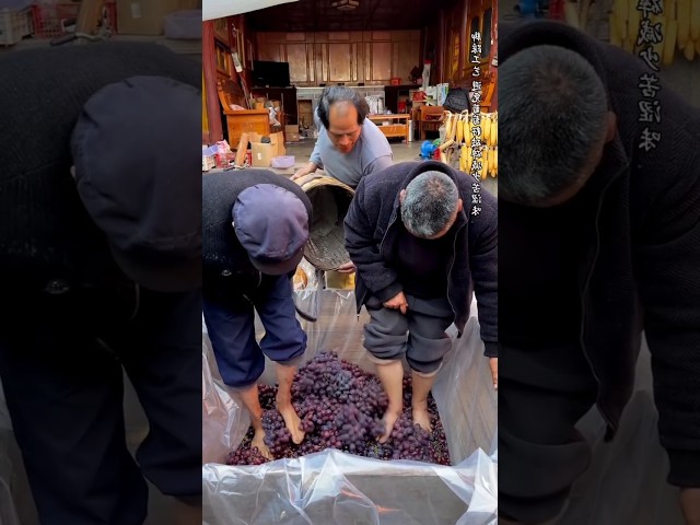 How to make wine with grapes 😱❌ #making #facts #viralvideo #amazingfacts #vines #wine