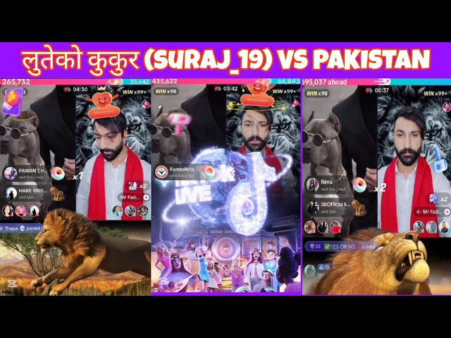 लुतेको कुकुरको बिक म्याच सानदार जित | suraj_19 TikTok live