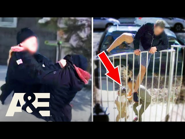 Chases, Attacks & Pranks - Top 6 CONFRONTATIONS | Neighborhood Wars | A&E