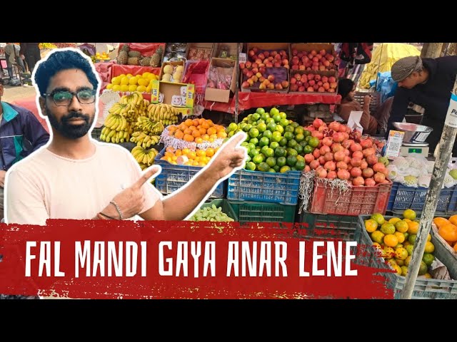 🍊🍎Fal Mandi Gaya anar Lene aur fal Lene  |Fal Mandi Gaya anar Lene | #vlog #dailyvlog