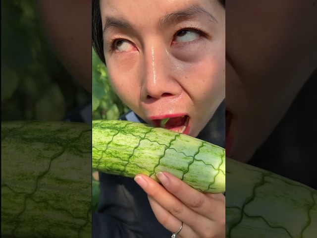 Enjoy eating cucumber natural with rural farming life,#2025 #life