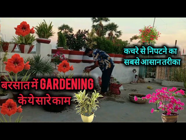 बरसात में Gardening के काम☝️ Gardening with Fun😁 Beautiful Terrace Garden 🏡