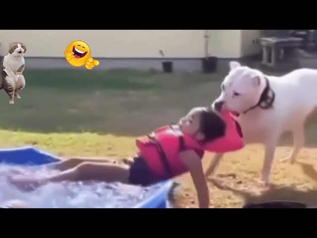 Best Funny Animal Videos –🐶Dogs & Cats😹 That Will Make You Laugh! P.2#cat #dog #animals