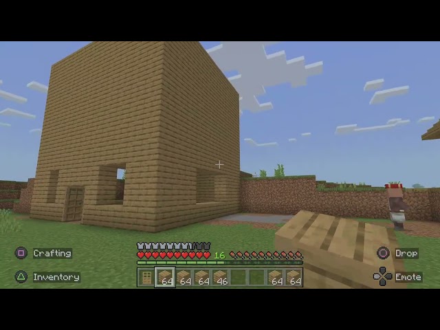 Minecraft  homes